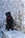  multi Ch. Bazo - Triola Cane Corso